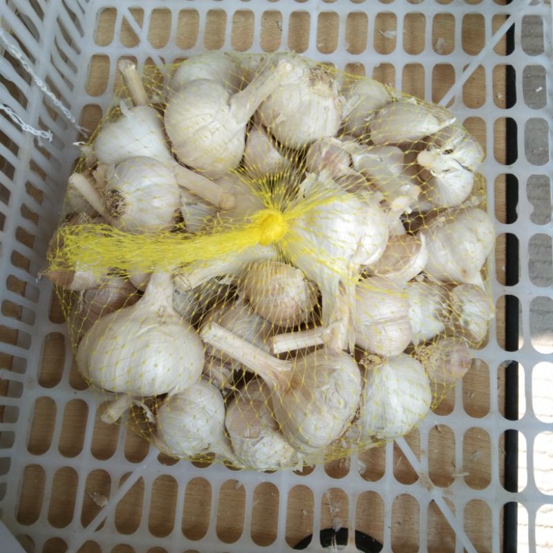 

bawang putih honan 1 kg