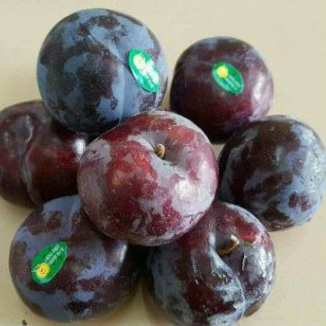 

BUAH PLUM PER (1kg)