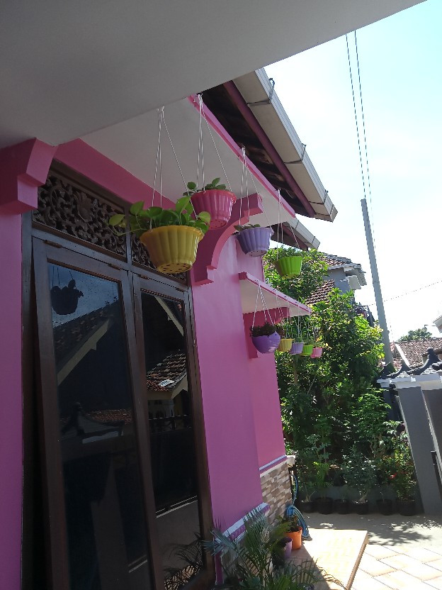 Pot Gantung Bunga Tanaman Nkt Mewah