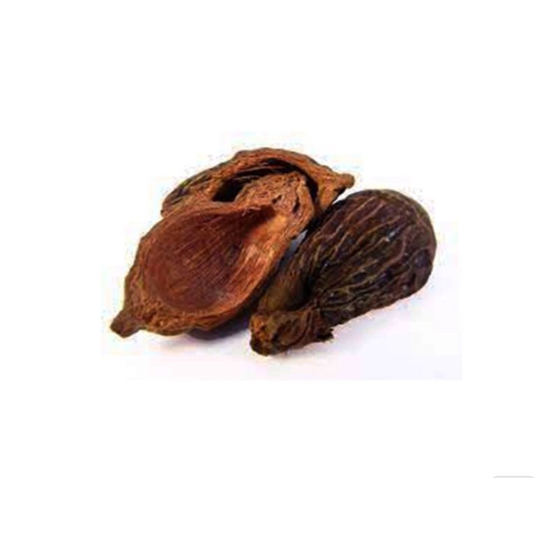 

10 G 50 GR 100 GRAM 大腹皮 槟榔皮 DA FU PI BIN LANG PI PERICARPIUM ARECAE KULIT PINANG