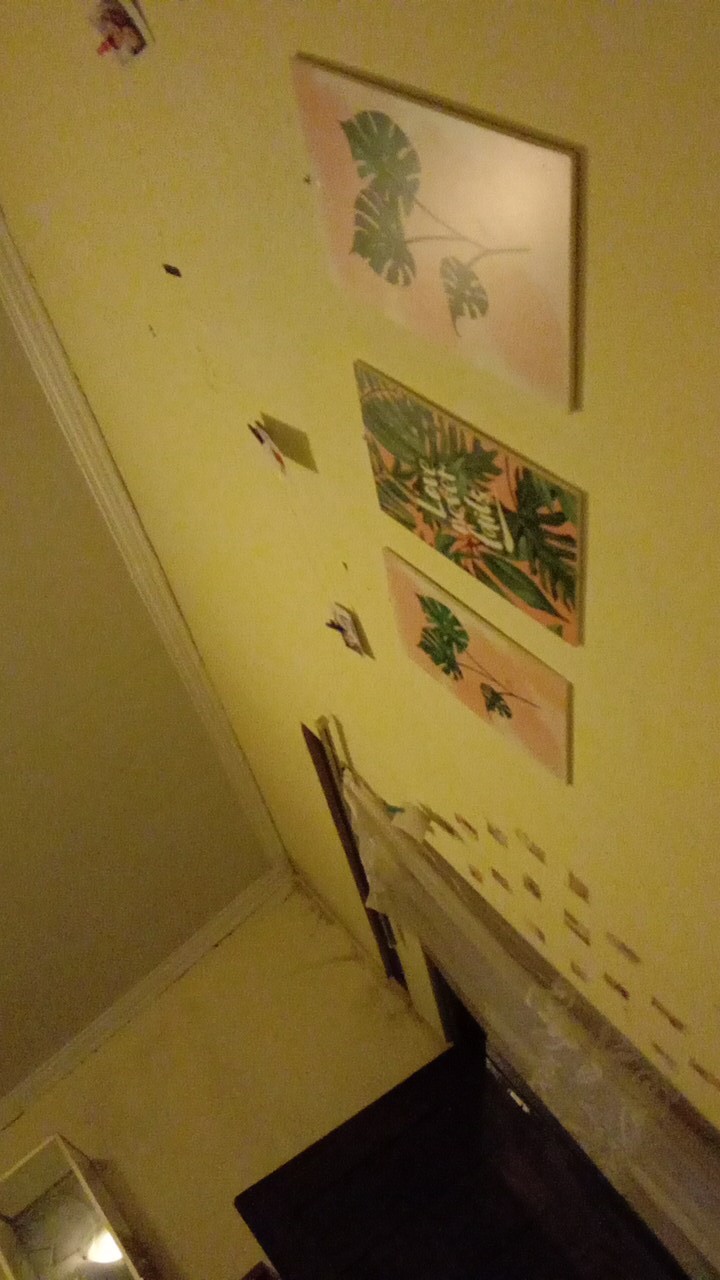 Wooden Projects Wall Decor Hiasan Pajangan Dinding Daun Monstera Tropical - Tmc2