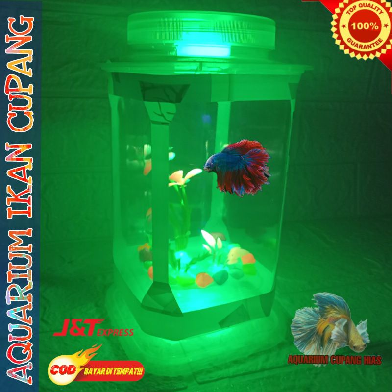 Aquarium Mini Ikan Cupang Hias Guppy Unik Akuarium Ikan Cupang Mini Lampu Warna Bentuk Persegi Empat