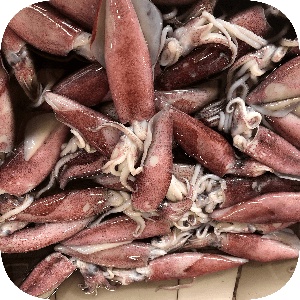 

Cumi 250 g