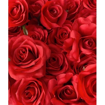 WEDDING BACKDROP PANEL ROSE FLOWER RED FLOWER  WALL DECORATION FLOWER WALL DECORASI  BUNGA UNTUK DI 