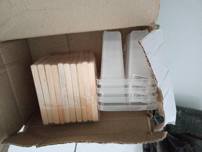 Cetakan Loly Atau Jelly