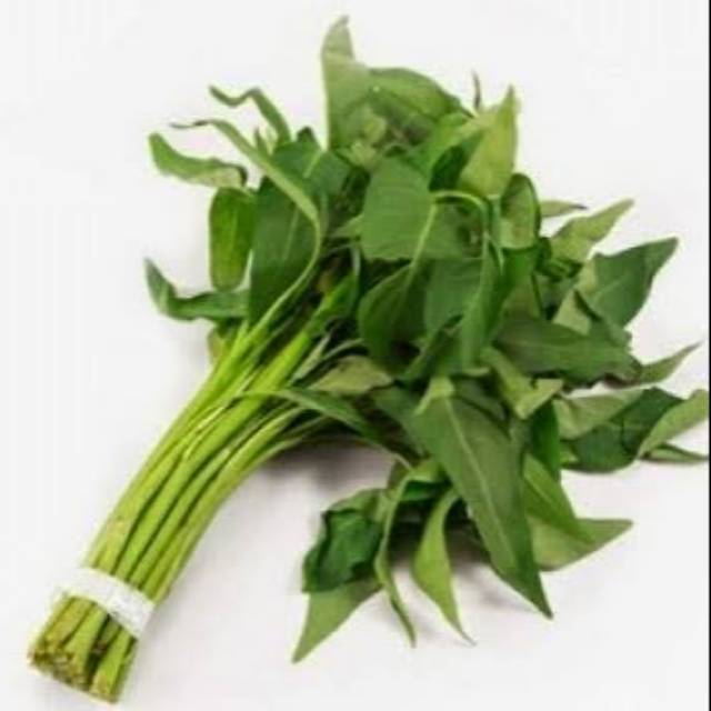 

Kangkung