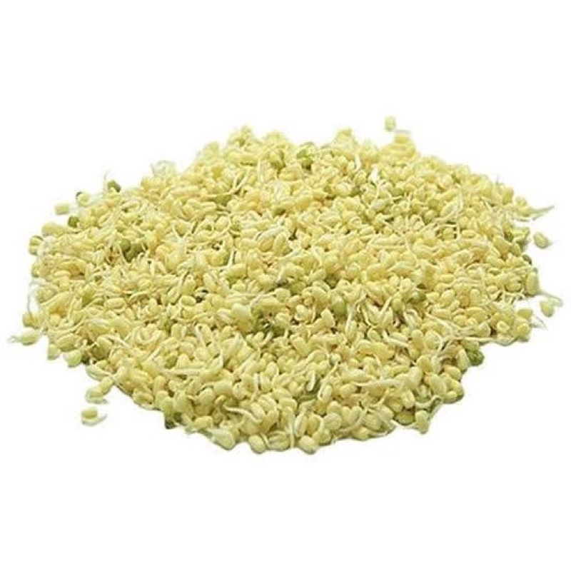 

Kecambah Pendek / Touge Pendek 250gram