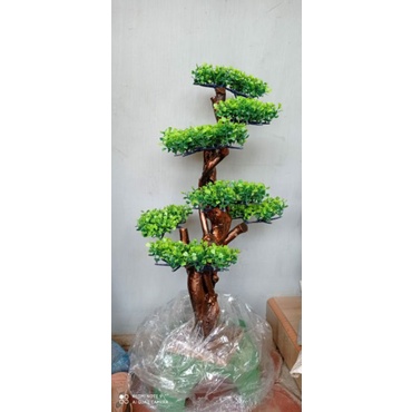 Bunga sudut Pohon Bonsai