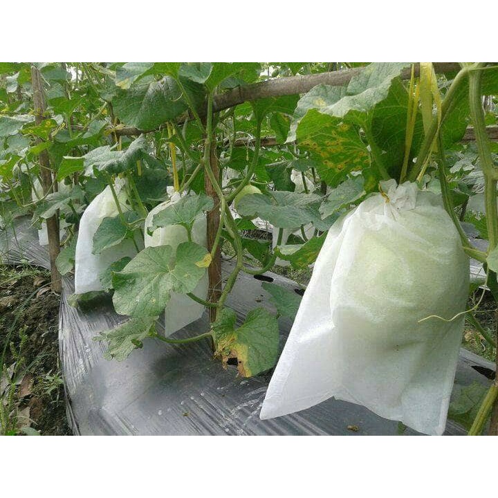 HEIGROW Fruit Cover Pembungkus Buah Brongsong Anggur Kelengkeng Jambu Mangga Melon Size S M L XL XXL Original