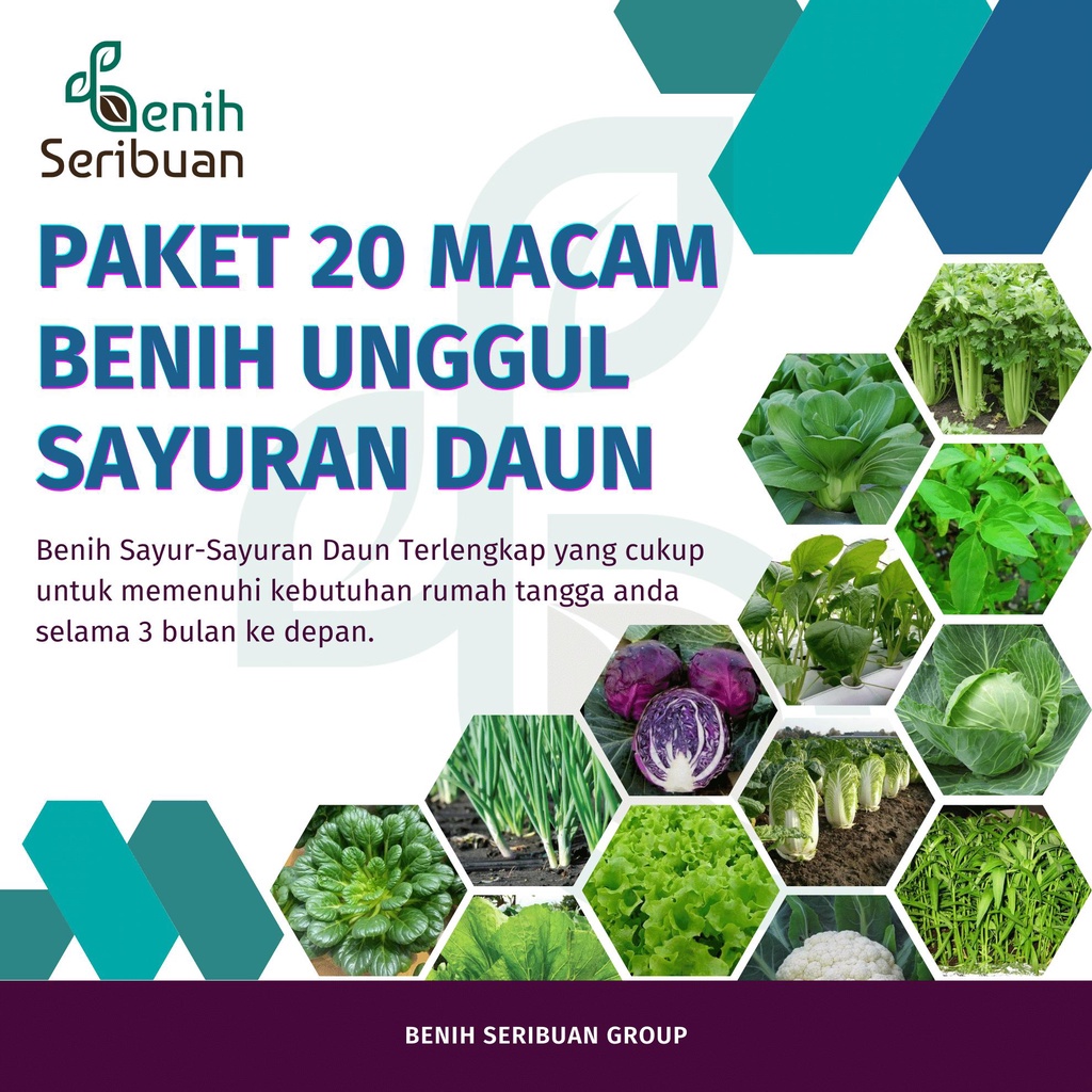 Benih Sayuran Daun Paket 20 Macam Bibit Sayur Unggul Kangkung Seledri Sawi Bayam Selada dll