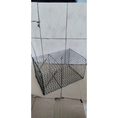 jebakan tikus Besar tikus got