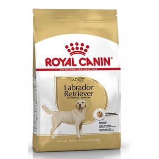 royal canin labrador retriever adult 12kg makanan anjing dewasa