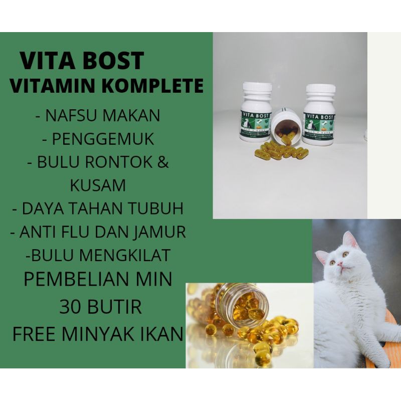 VITAMIN KUCING NAFSU MAKAN PENGGEMUK BULU RONTOK/KUSAM IMUNITAS DAN DAYA TAHAN TUBUH VITAMIN ANJING