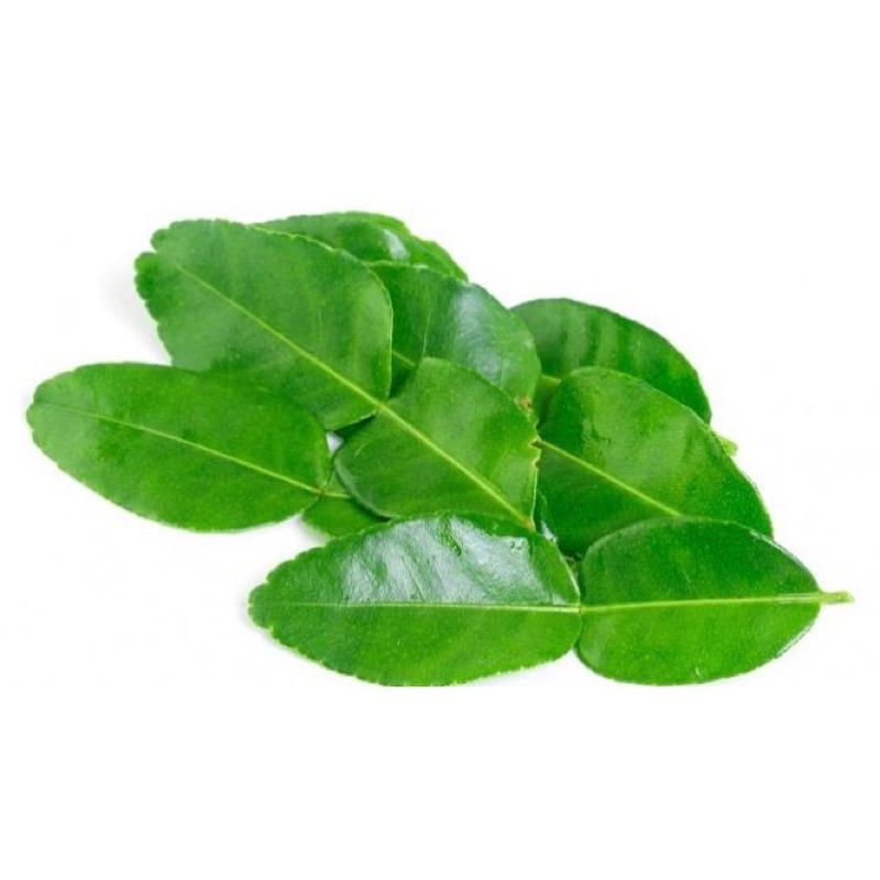 

DAUN JERUK FRESH 10 GRAM