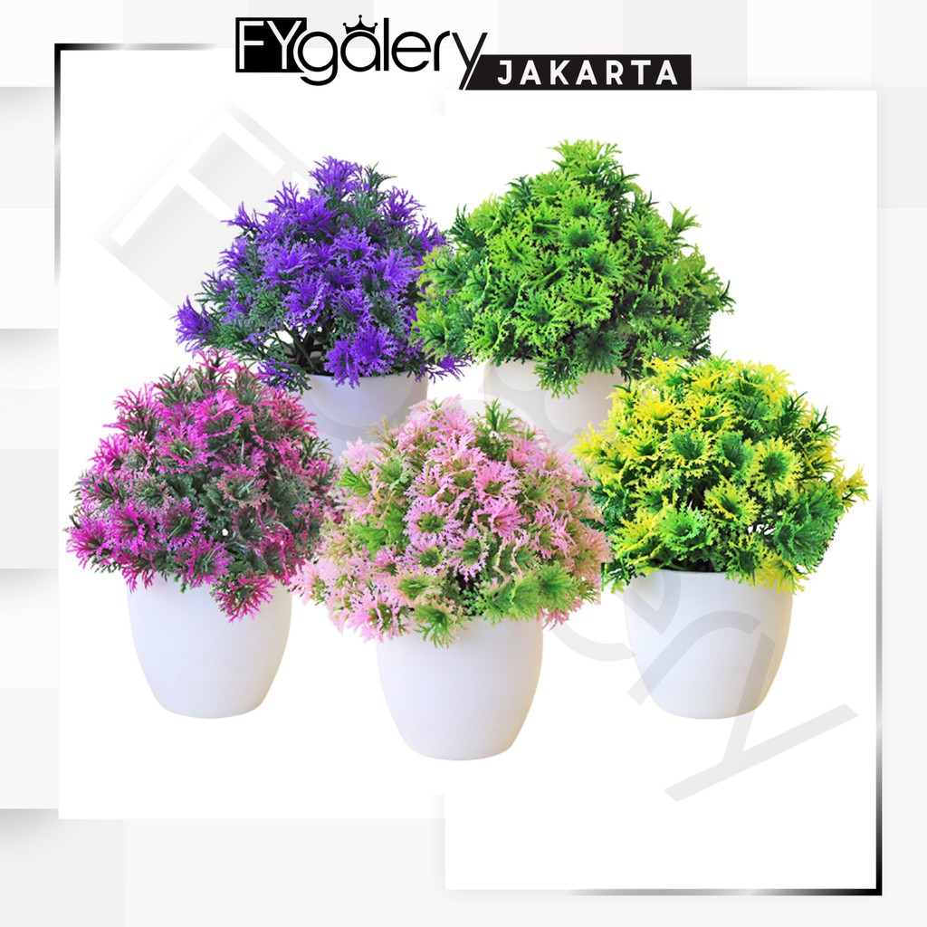 FYGALERYJAKARTA PT31 Pot Tanaman Bunga  Dekorasi Rumah 