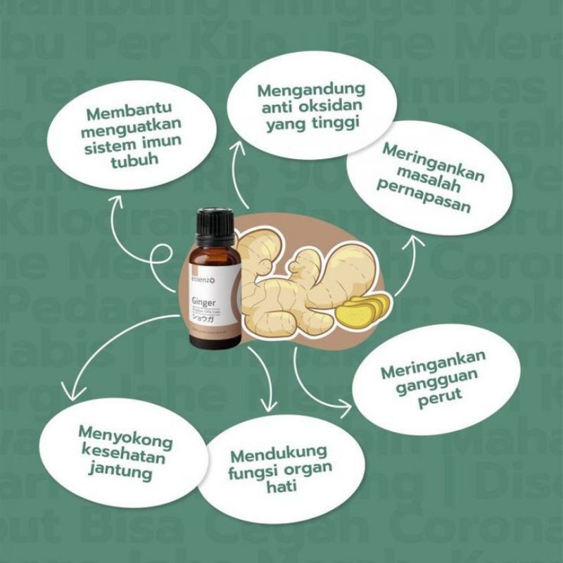 

Bubuk jahe instan siap seduh.. berat 200gr