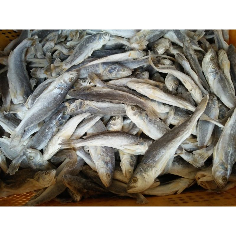 

ikan asin samge panjang