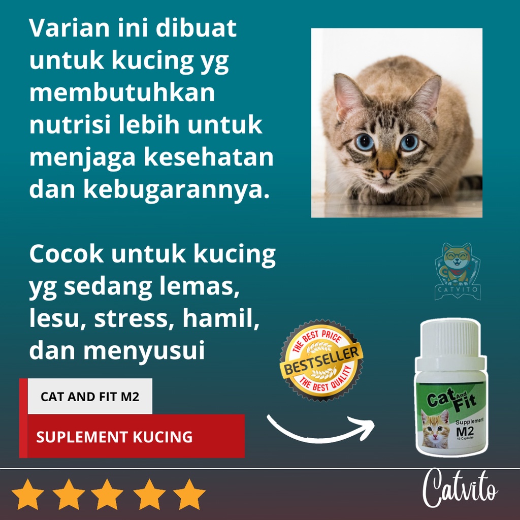 Suplemen Vitamin Untuk Mengembalikan STAMINA KUCING setelah sakit, operasi, hamil dan melahirkan