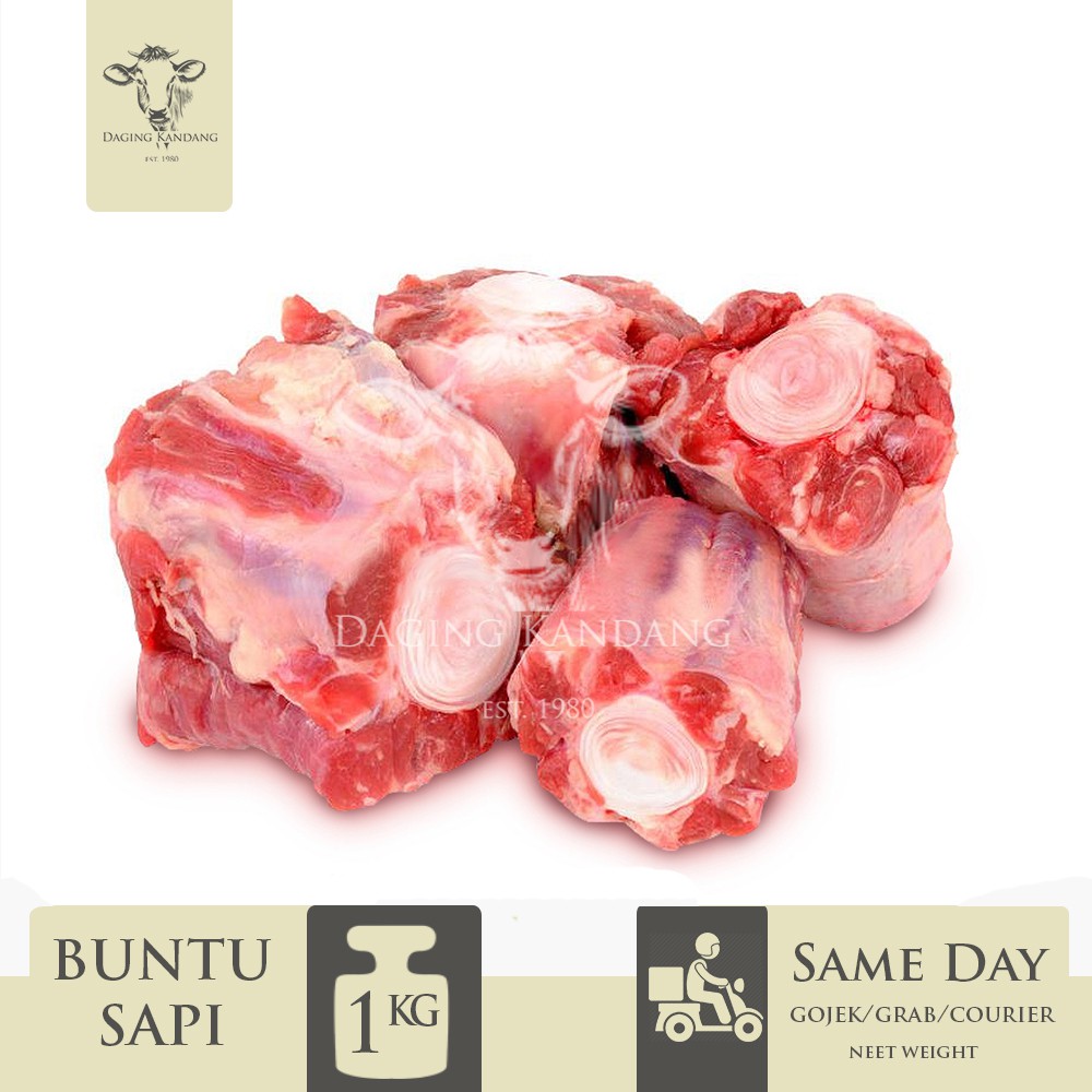 

SUPPLIER BUNTUT SAPI | DAGING KANDANG