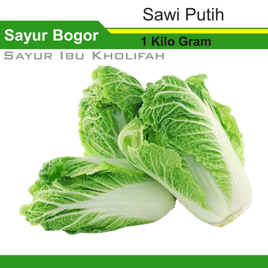 

Sawi Putih Chinese Cabbage 1kg Makanan Sayuran Segar Belanja Sayur Online Bogor