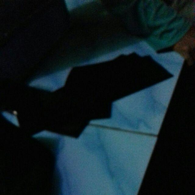 Grosir Bibit Bidara Harga Murah Minimal 50 Pcs