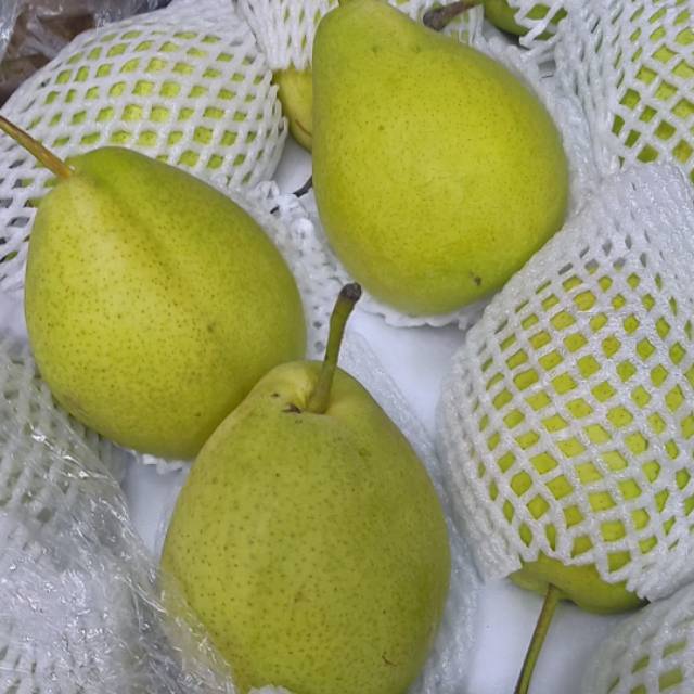 

PEAR SHANDONG/1KG