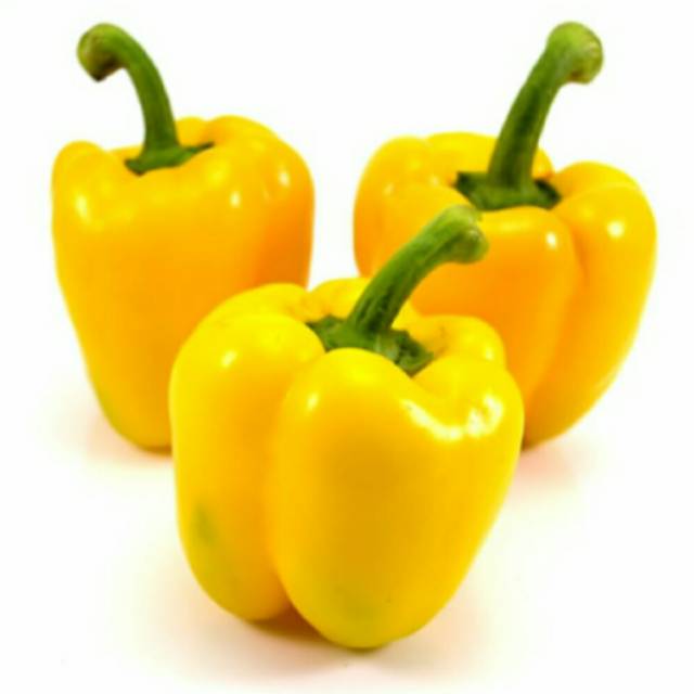 

Paprika Kuning Organik 100gr