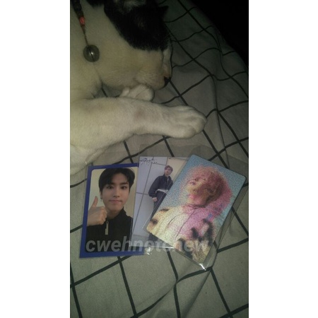 PC Han Jisung blue border / PC Felix / Lenti Lenticular I.N LEVANTER