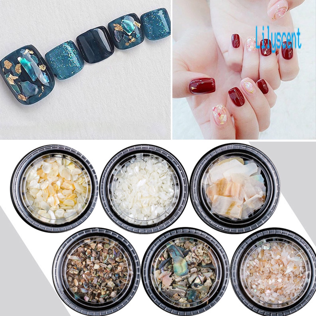 Lily 1 Kotak Irisan Kulit Kerang Alami Bentuk Asimetris Untuk Dekorasi Nail Art