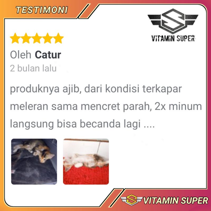 Obat Kucing Anti Virus D1 | Obat Flu Berat, Panleu, Calici, Distemper, Mencret, Pipis Darah, Sariawan, Lemes, Muntah, Mulut Berliur