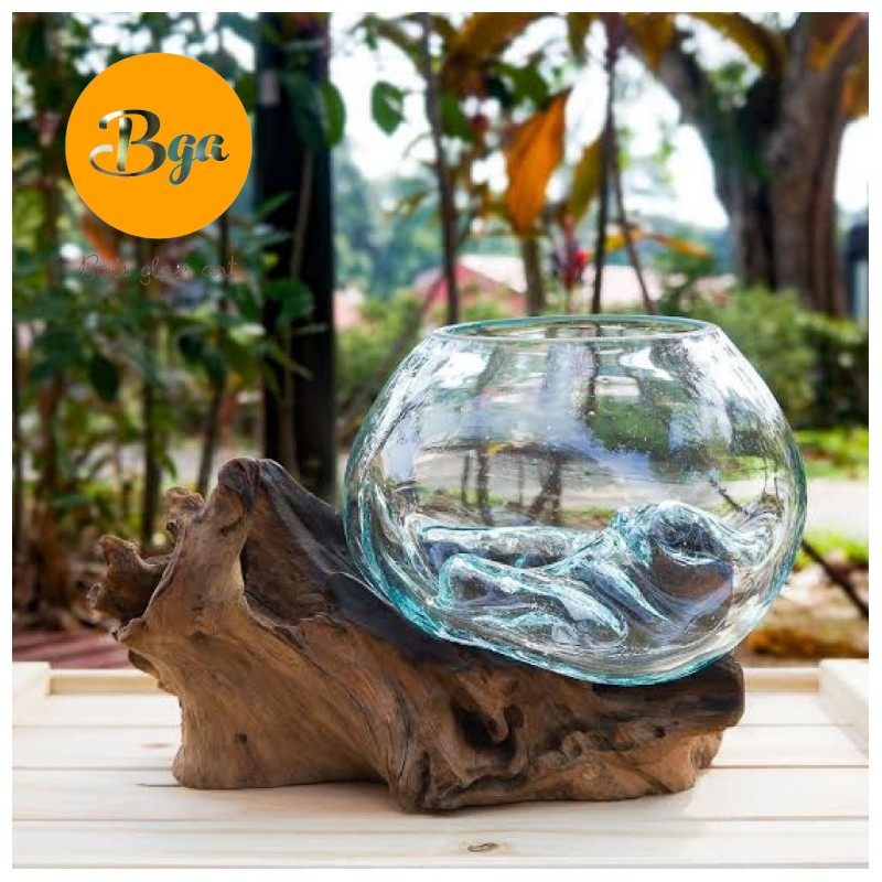 Akuarium Ikan Cupang Aquascape Aquarium Kayu Bunga Kaca Aquascape Akuarium Akar Unik Shopee Indonesia