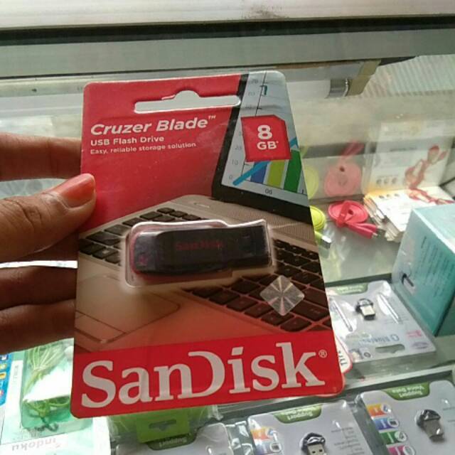 Flesdisk