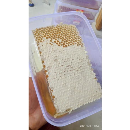 

Madu KHASUFA madu ternak asli