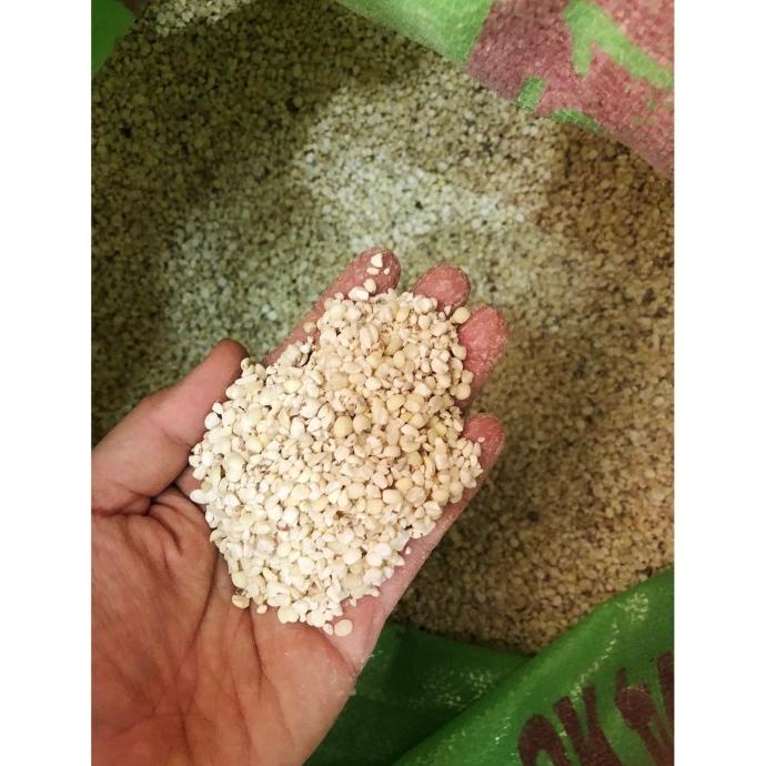 

Jali Jali Aceh Super 1 Kg