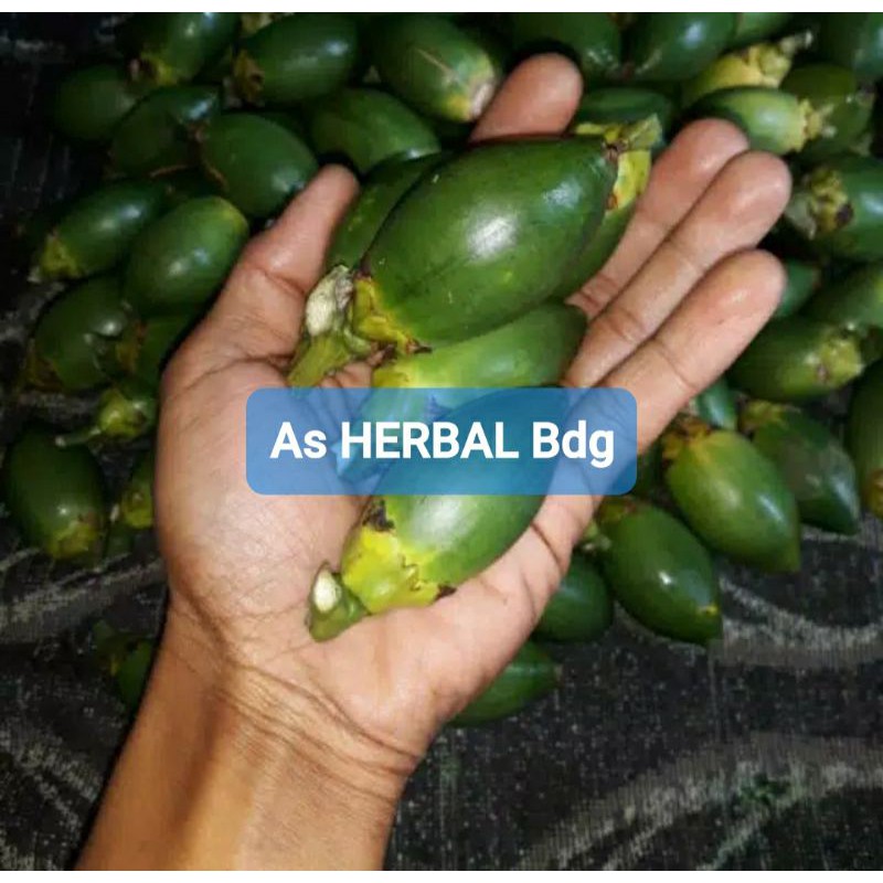 

Promo buah pinang muda segar petik langsung kirim 1 kg-az