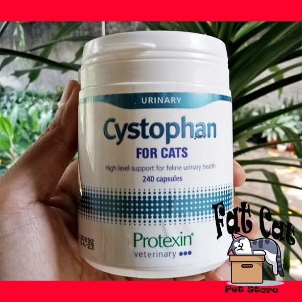 Obat Urinary Cystophan obat susah kencing kucing seperti cystaid plus