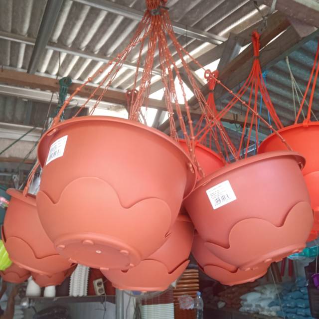 POT GANTUNG LION STAR - pot plastik