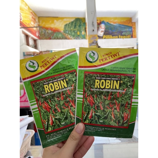 benih cabai rawit robin hibrida f1 benih cabe pertiwi robin hibrida 10gram exp 9/2024 original perti