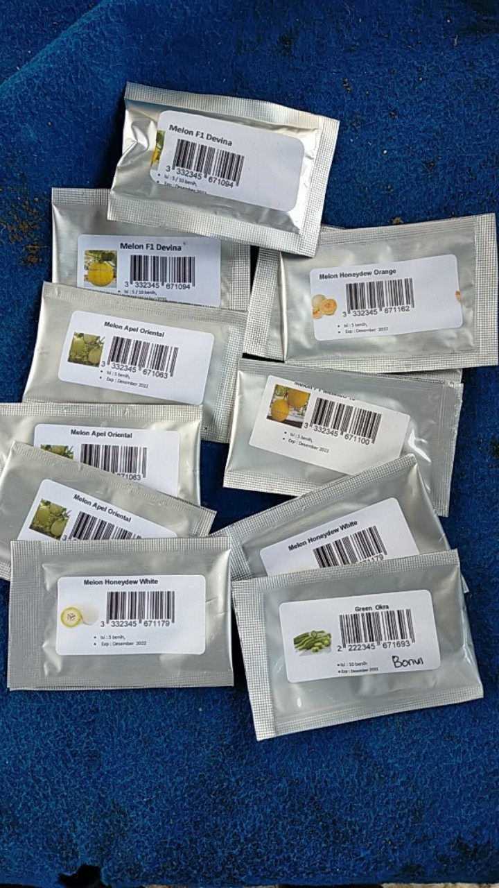 Melon Honeydew Orange 10 Benih
