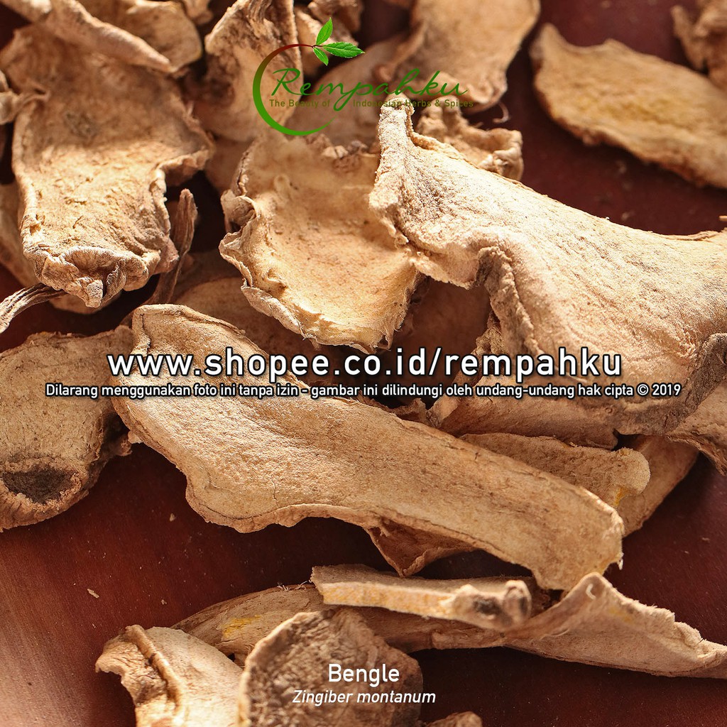 

Rempahku - BANGLE 10gr Sample Temu Bengle Rimpang Zingiber Montanum