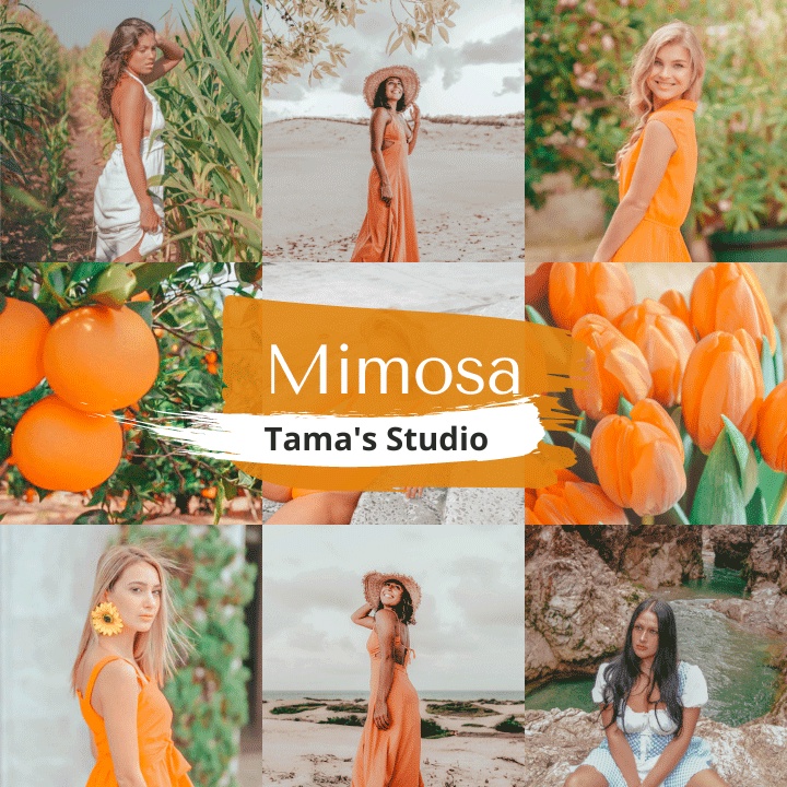 6 Lightroom Preset Mimosa IOS/Android