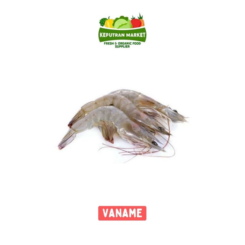 

Udang Vaname 500 Gram / Ikan Segar