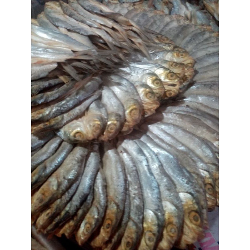 

IKAN ASIN BANDENG/NIURAME