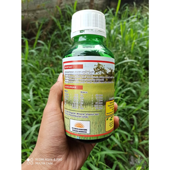 Pupuk Kalium Cair Kalium Phospate Umbi dan Buah 500 ML