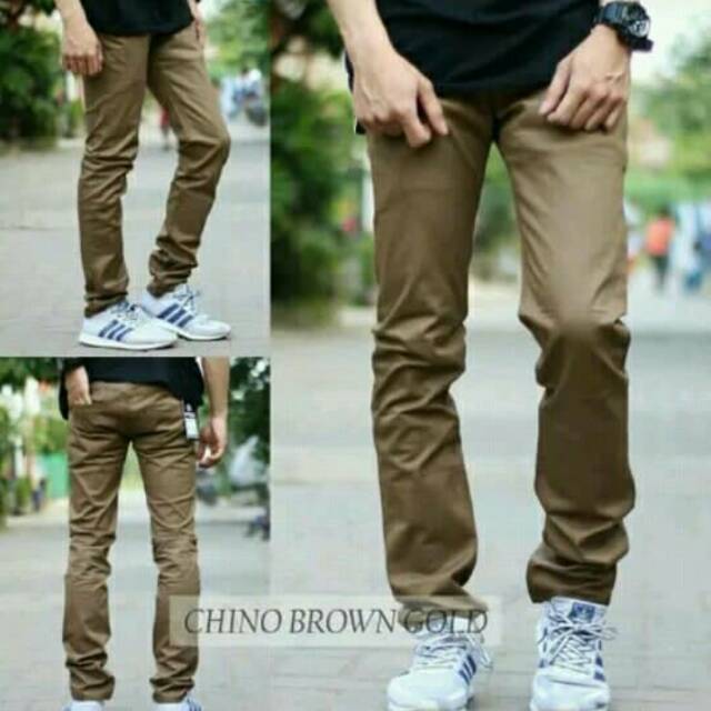 Malmo Celana Panjang Chino Pria  warna  Coklat Brown Gold 