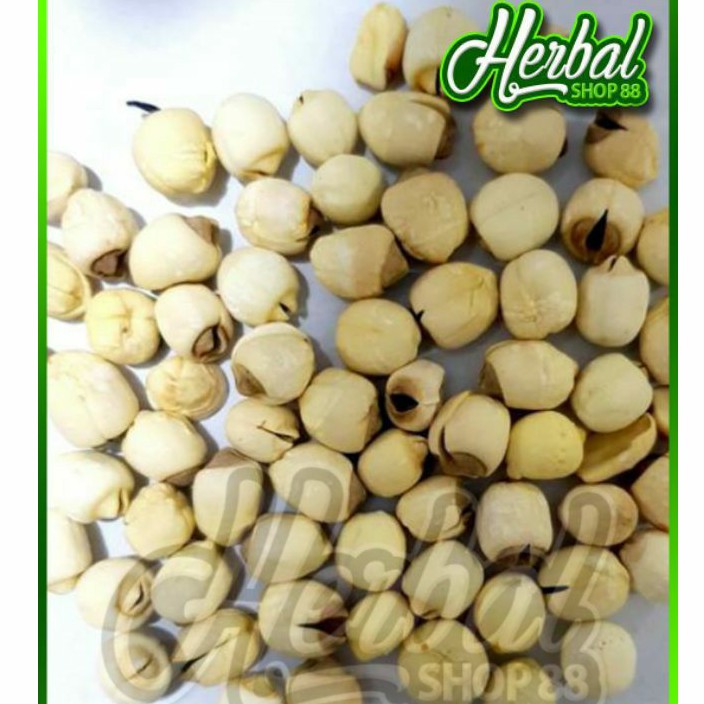

White Lotus Seed 500 gr / Biji teratai / Lienci