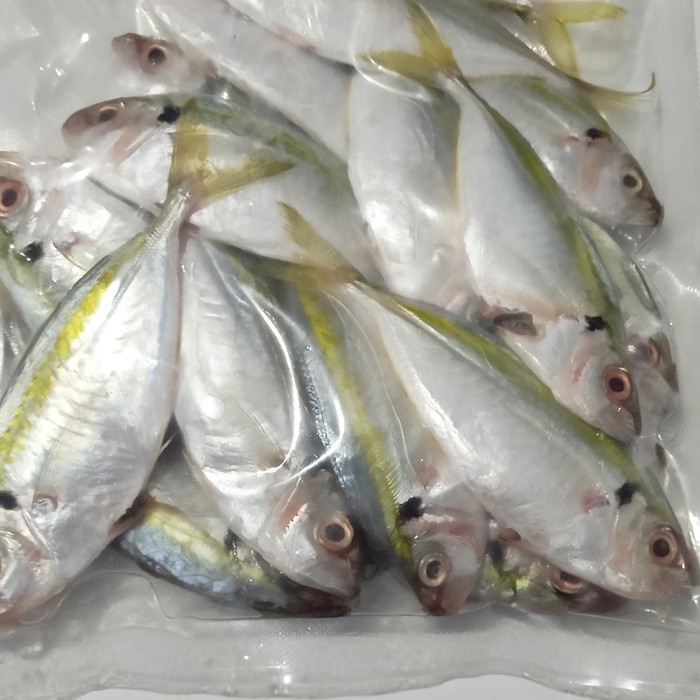 

Ikan Selar Kecil Fresh Bersih Siap Masak