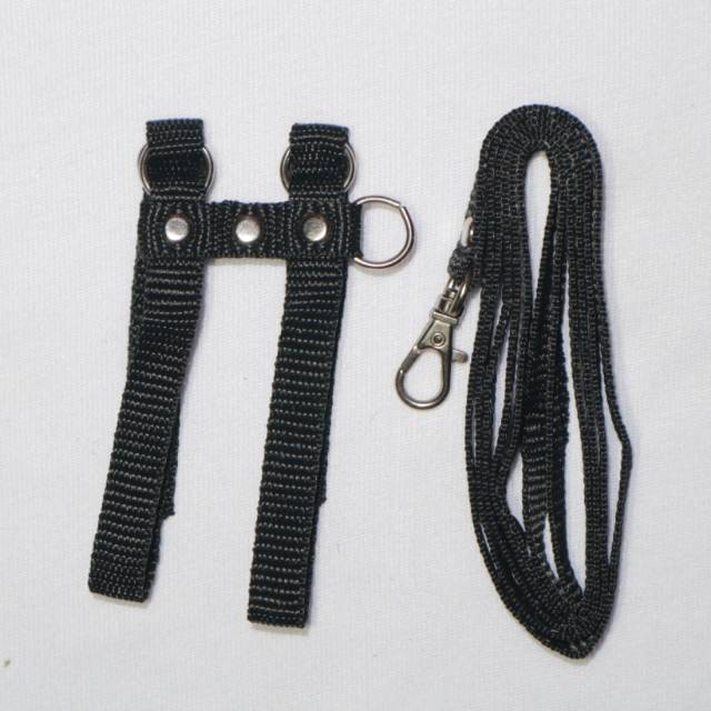 Harness tali bajing tupai hamster kadal hewan kecil lain