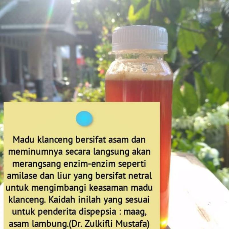 

madu klanceng 320 gram | obat diabetes | madu galipat | madu kelulut | madu lanceng