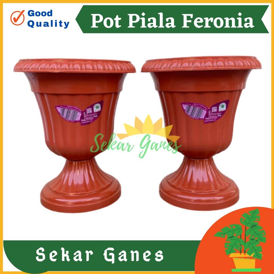 Pot Piala Green Leaf Feronia 6152 Merah Bata Terracota Merah Coklat Pot Piala Tinggi Putih Plastik hitam pendek 50 - Pot bunga tanaman piala feronia putih 18cm - PIALA MINI 6152